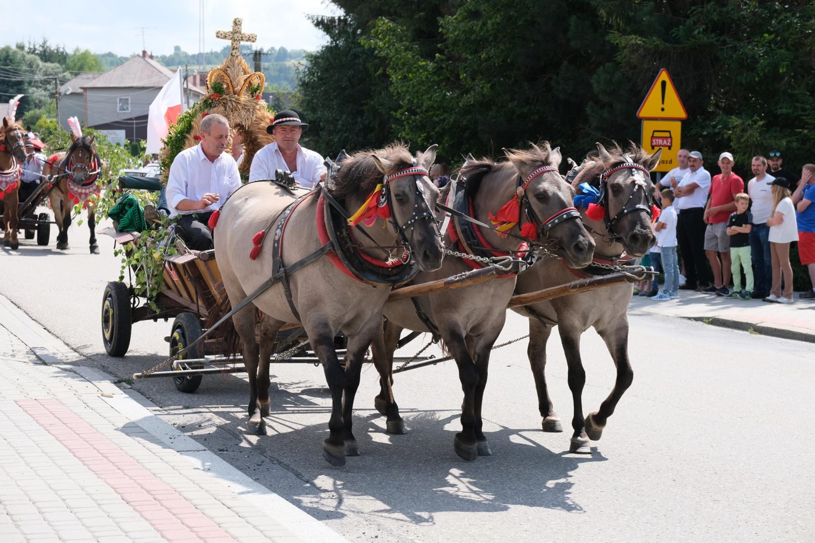 dożynki Korzenna