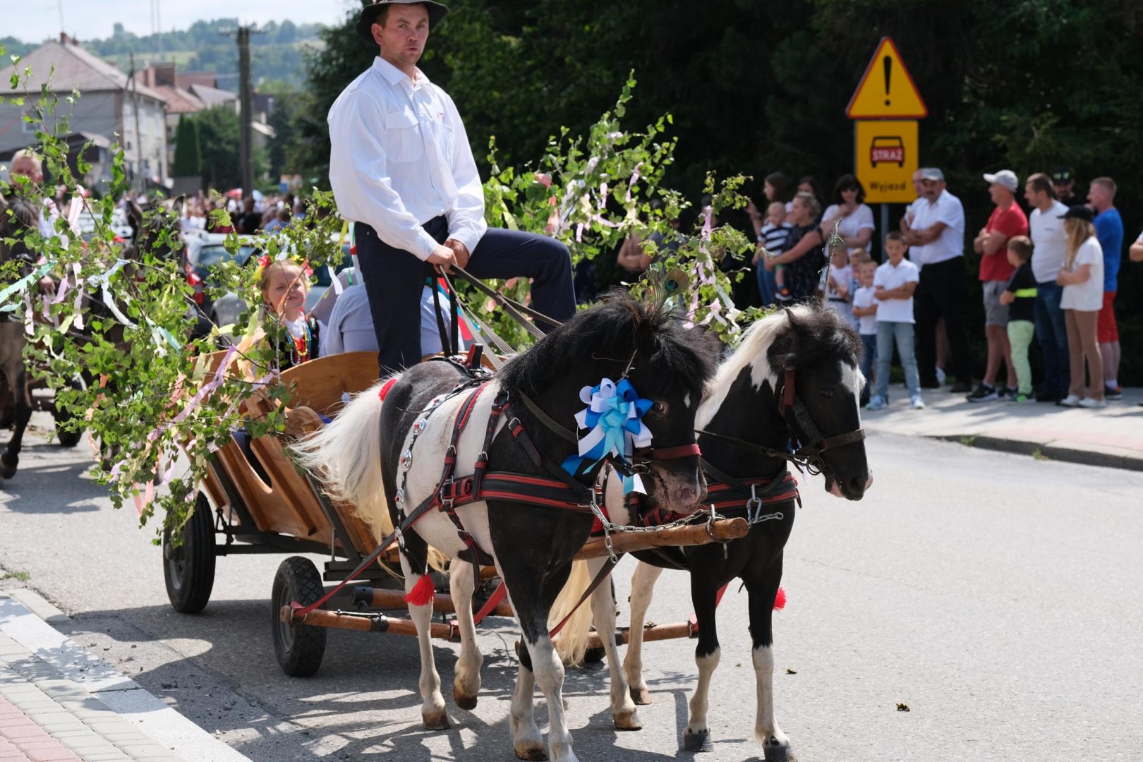 dożynki Korzenna