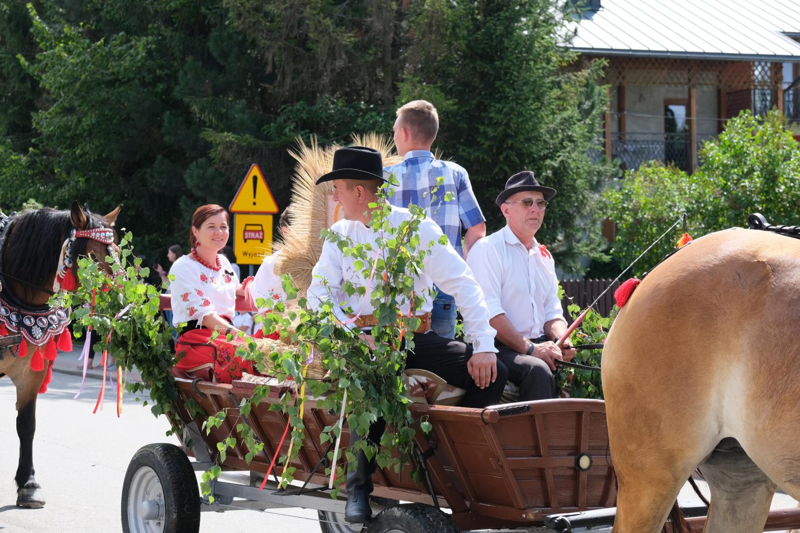 dożynki Korzenna