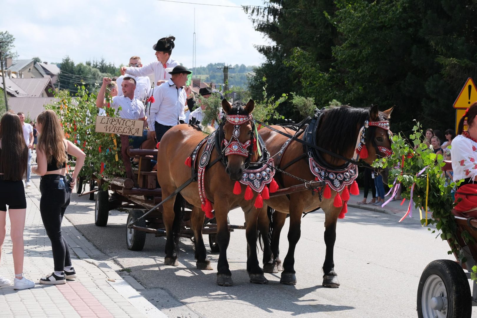 dożynki Korzenna