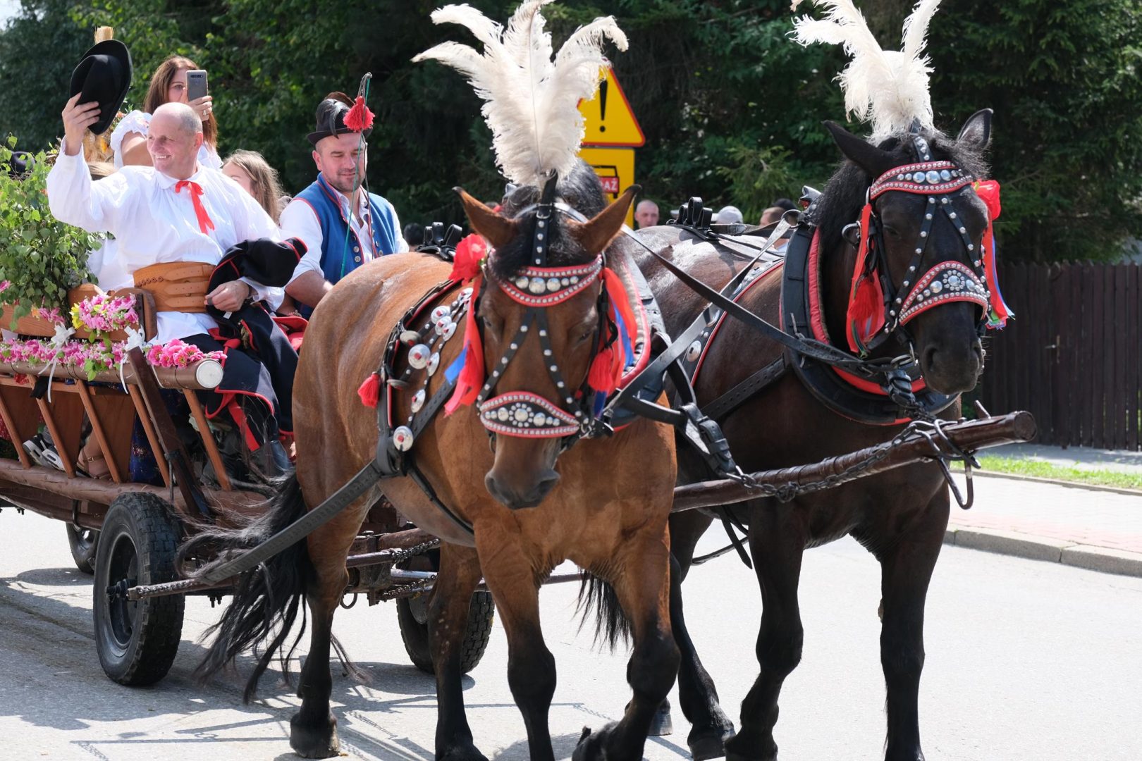 dożynki Korzenna