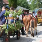 dożynki Korzenna