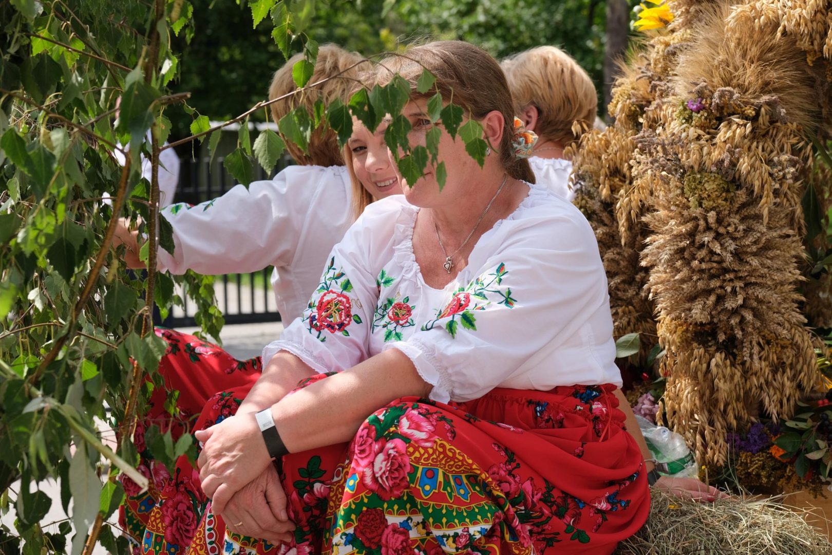 dożynki Korzenna