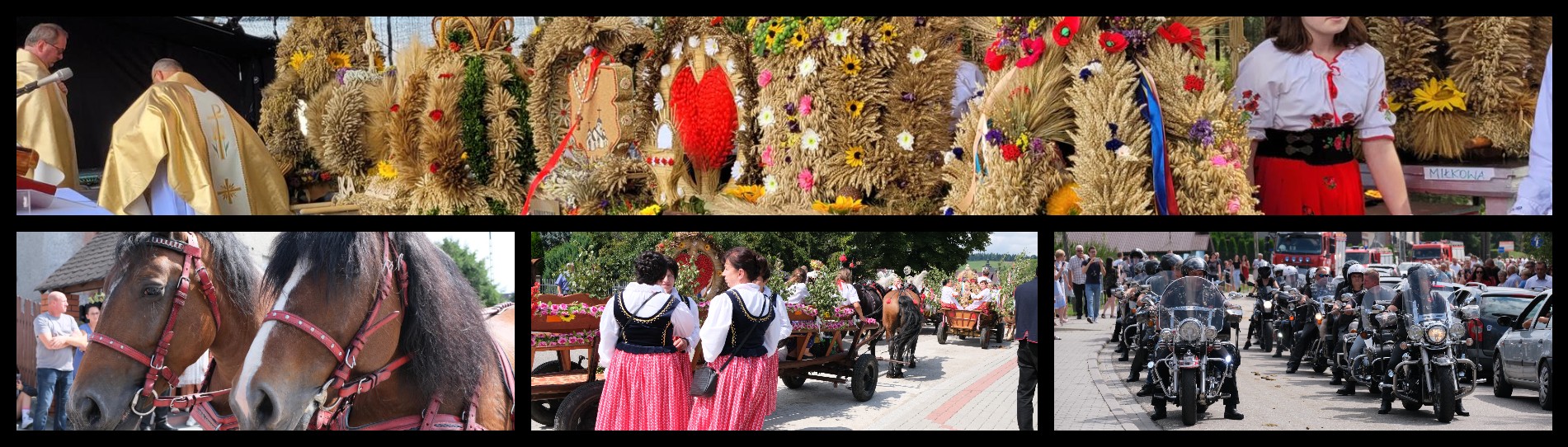 dożynki Korzenna