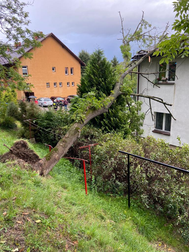 Jazowsko - drzewo powalone na budynek