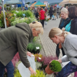 agropromocja 2022, stary sacz
