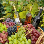 agropromocja 2022, stary sacz