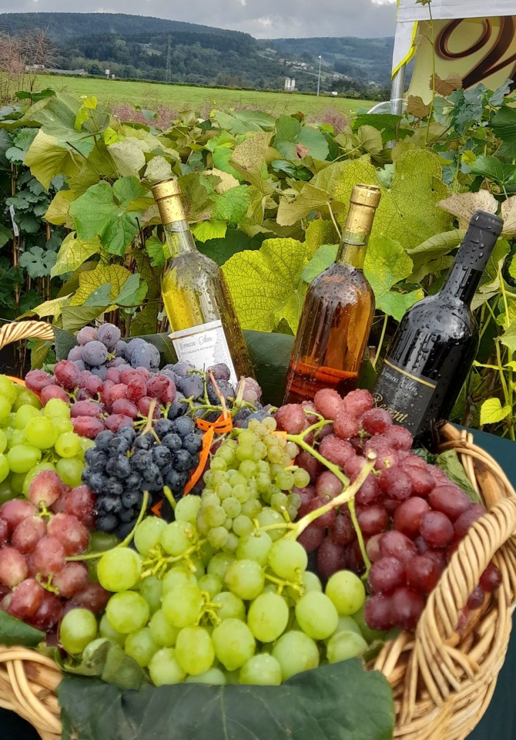 agropromocja 2022, stary sacz