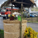 agropromocja 2022, stary sacz
