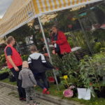 agropromocja 2022, stary sacz