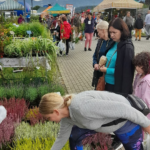 agropromocja 2022, stary sacz