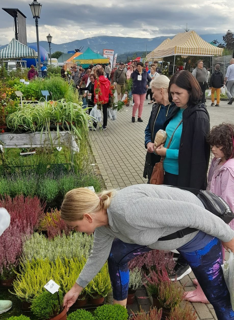 agropromocja 2022, stary sacz