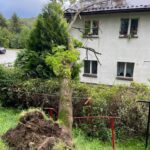 Jazowsko - drzewo powalone na budynek