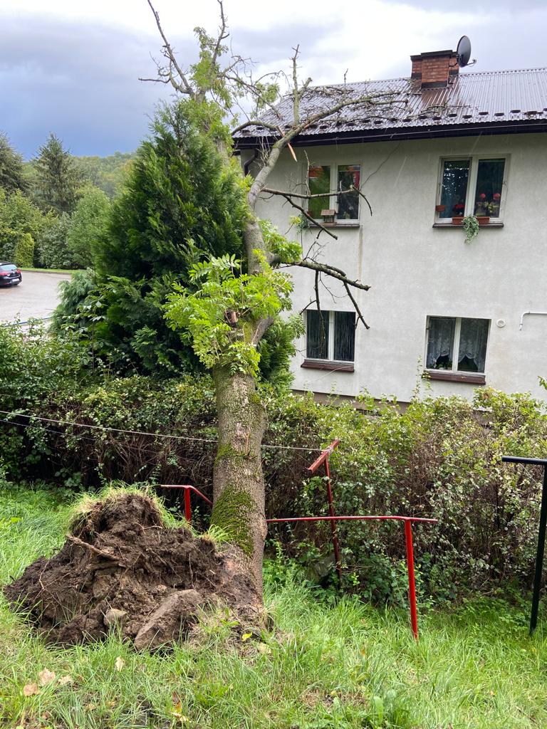 Jazowsko - drzewo powalone na budynek