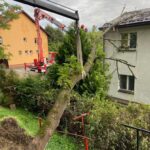 Jazowsko - drzewo powalone na budynek