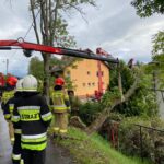 Jazowsko - drzewo powalone na budynek