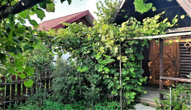 Krynica – Zdrój. Weszli do cudzej daczy i urządzili w niej alkoholową libację