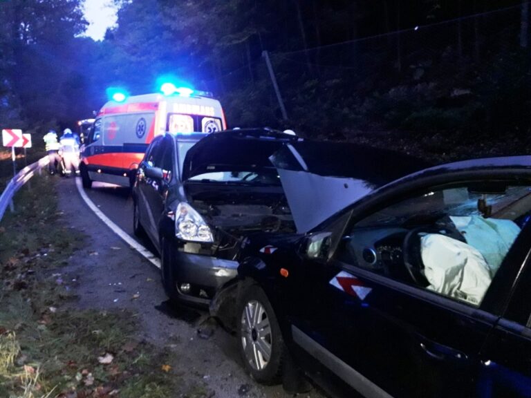 Żegiestów. „Czołówka” na drodze wojewódzkiej, dwie osoby w szpitalu