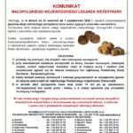 szczepienie lisów