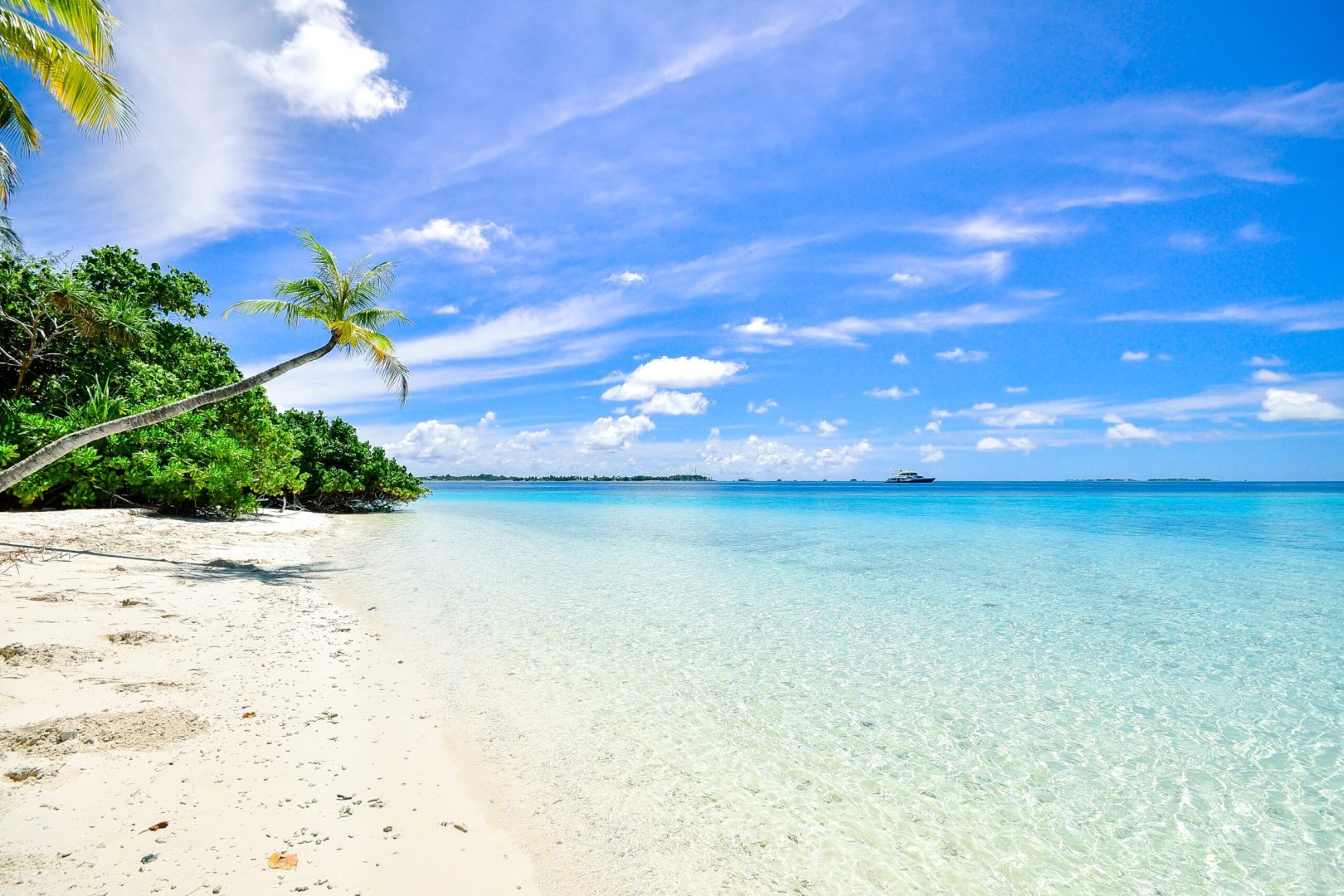 Wakacje, plaża