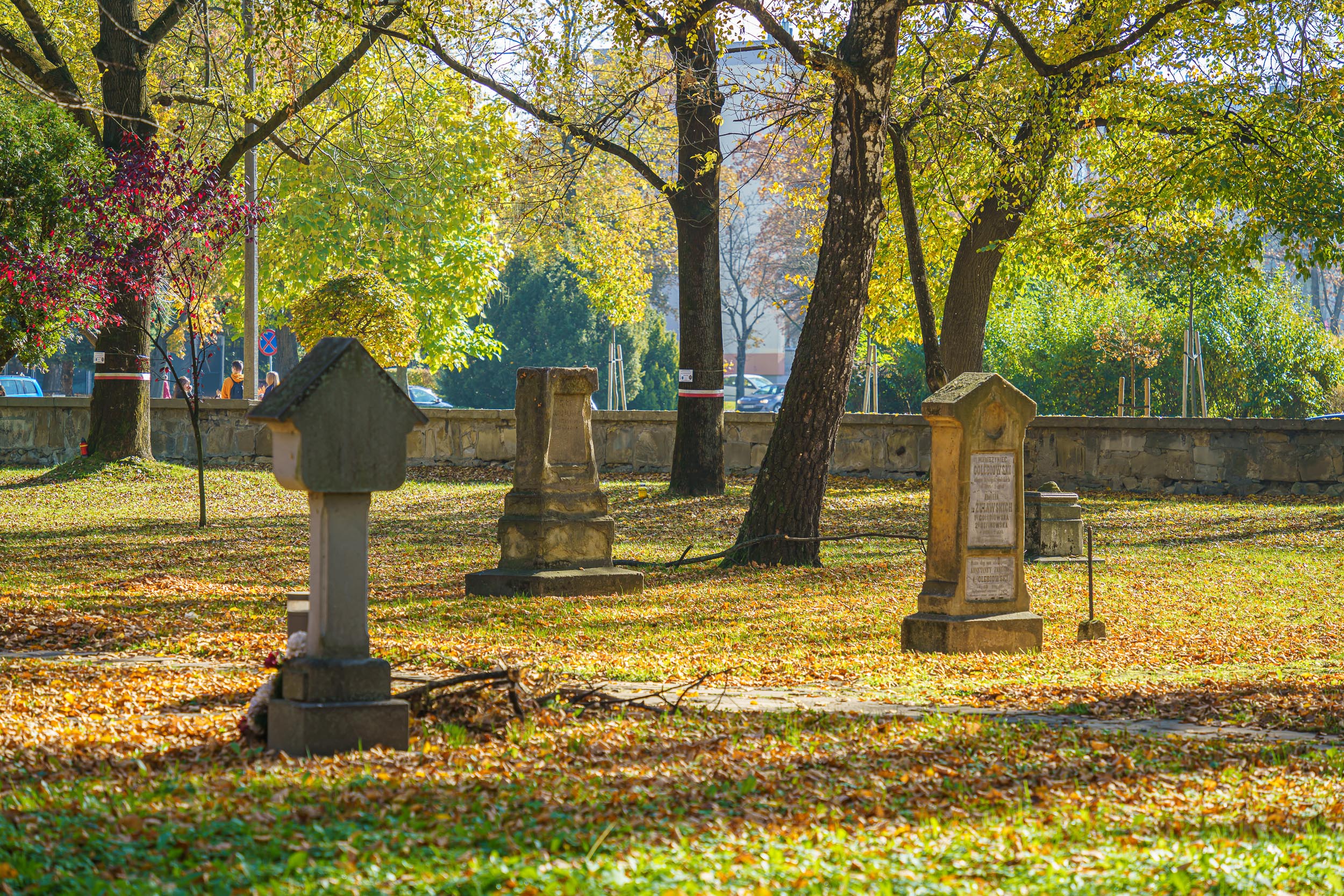 Stary Cmentarz, Nowy Sącz, sprzątanie