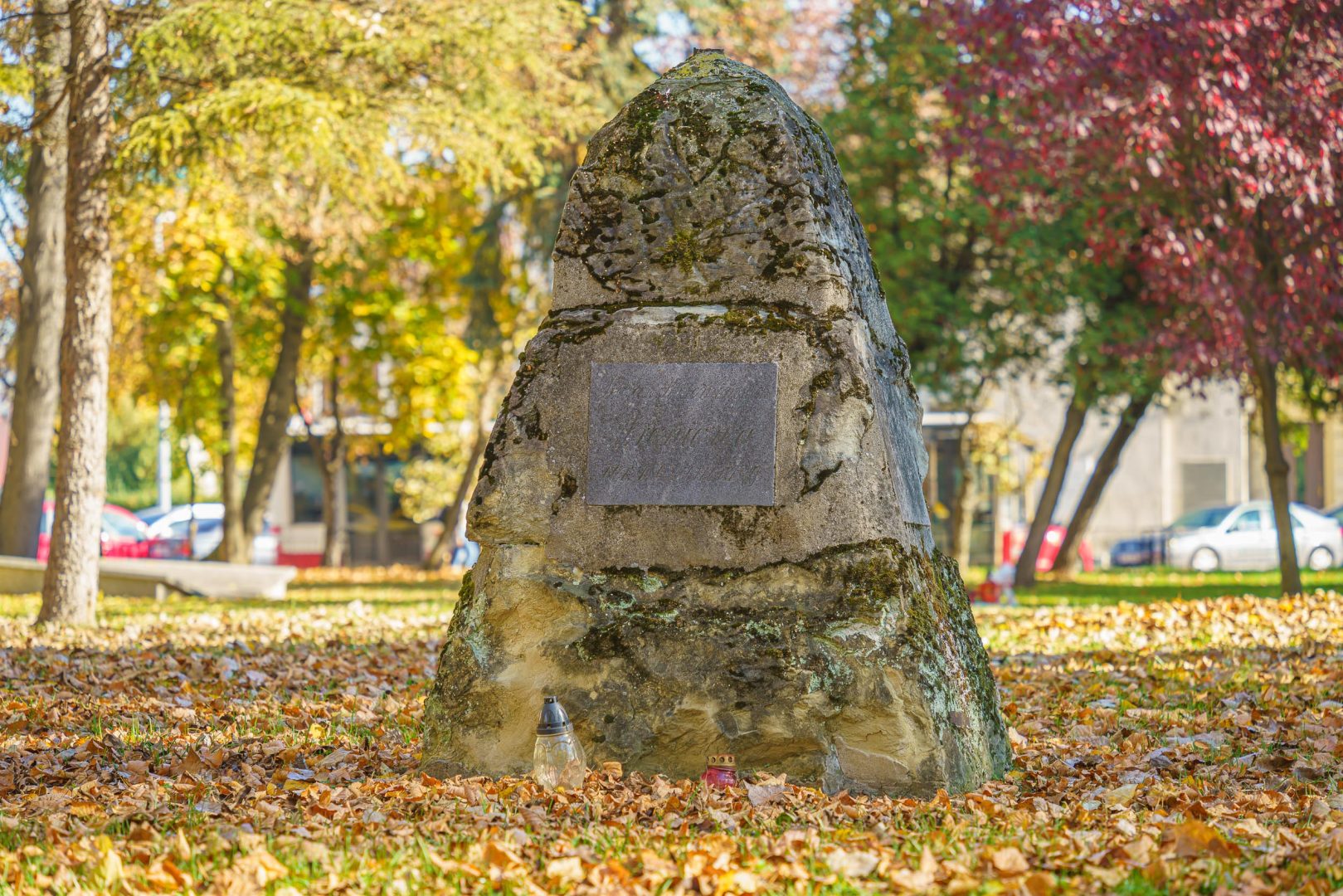 Stary Cmentarz, Nowy Sącz, sprzątanie