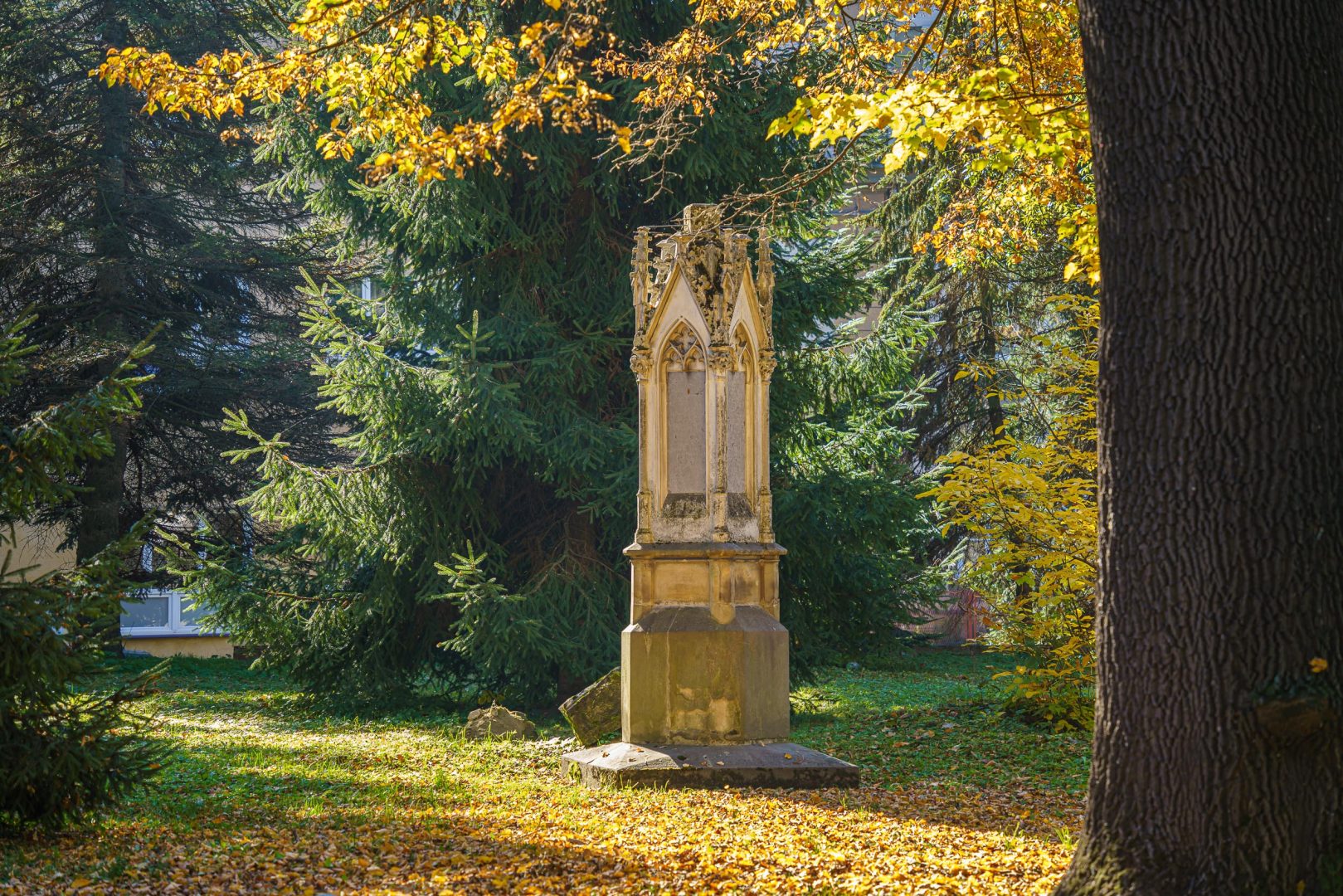 Stary Cmentarz, Nowy Sącz, sprzątanie