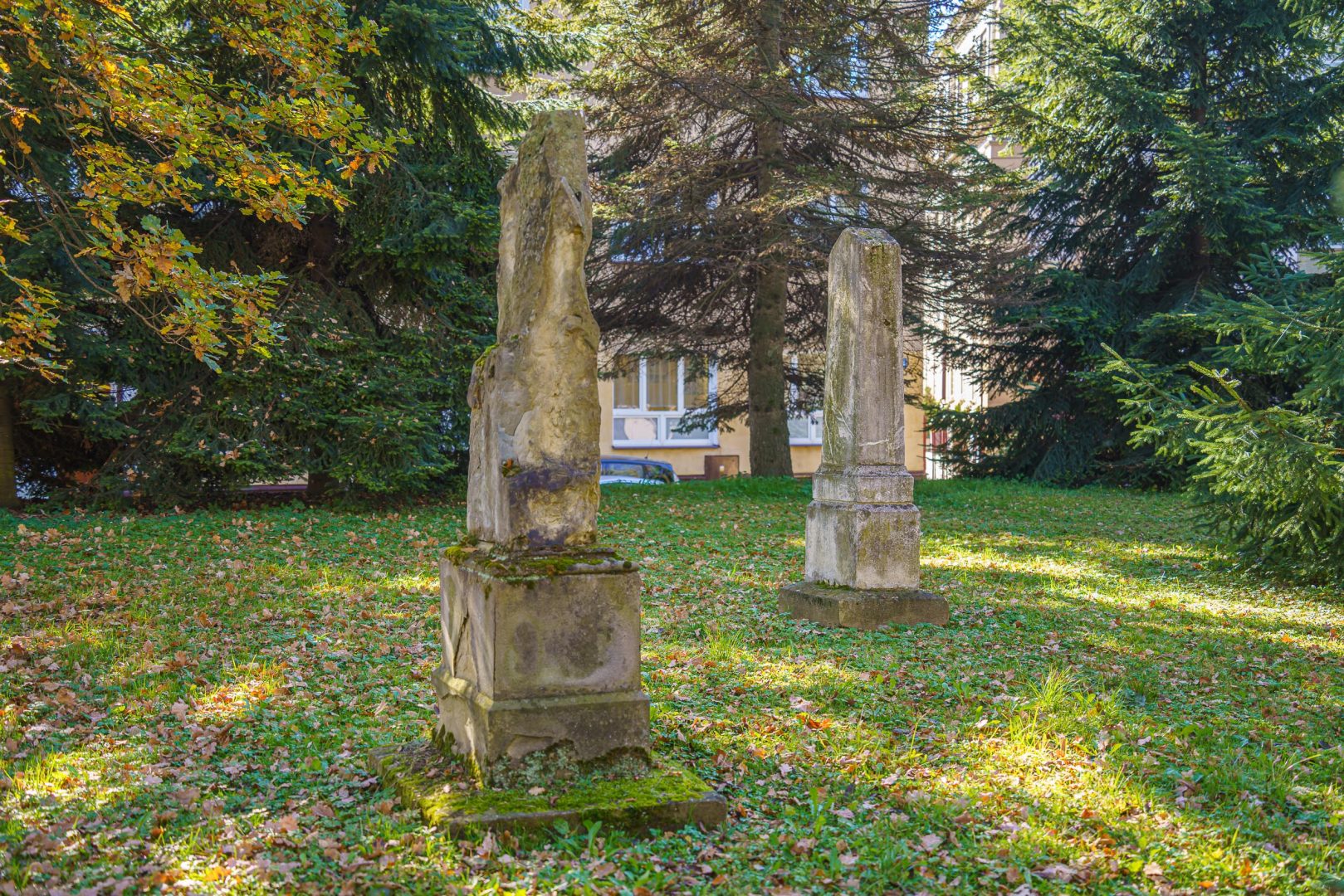 Stary Cmentarz, Nowy Sącz, sprzątanie