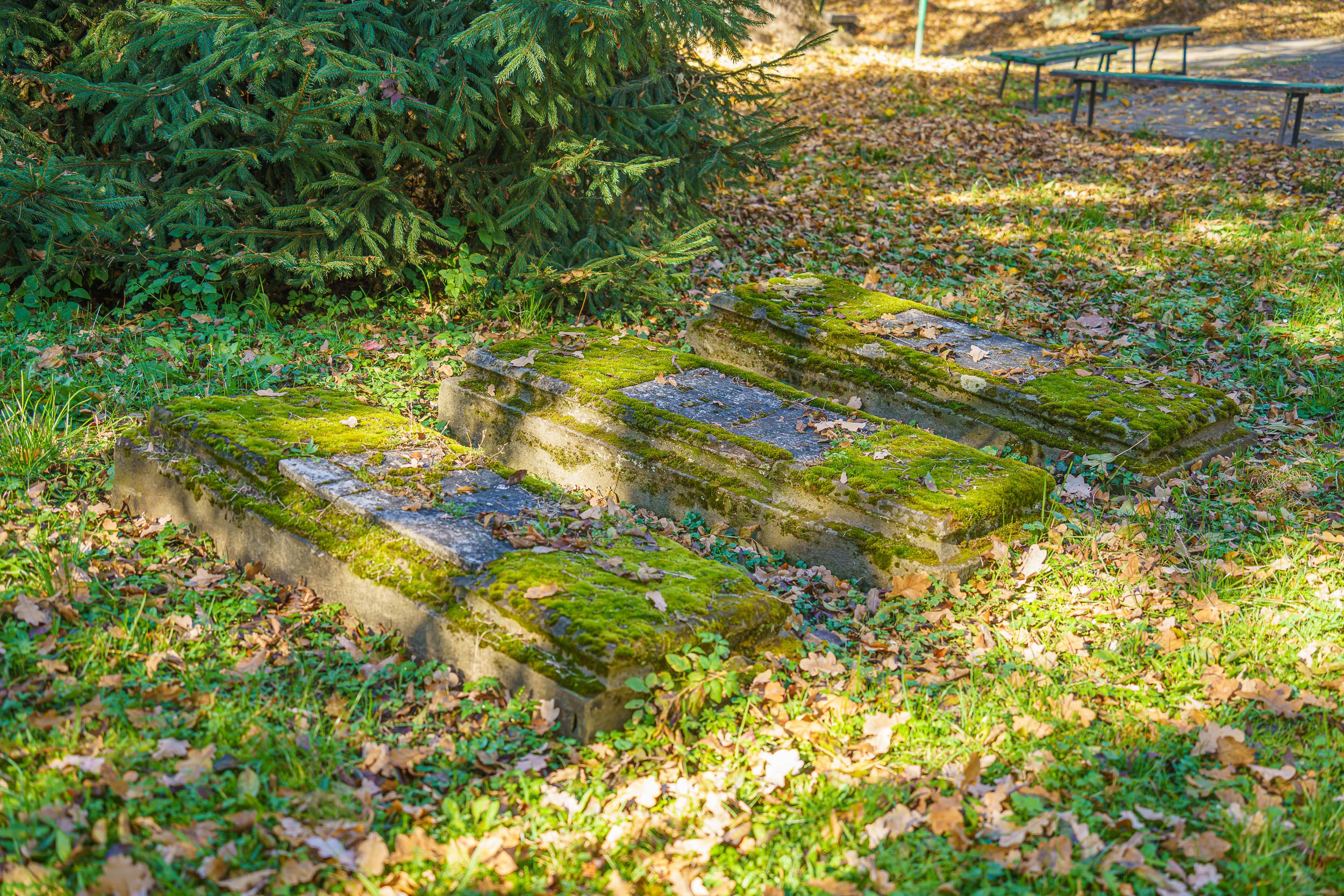 Stary Cmentarz, Nowy Sącz, sprzątanie