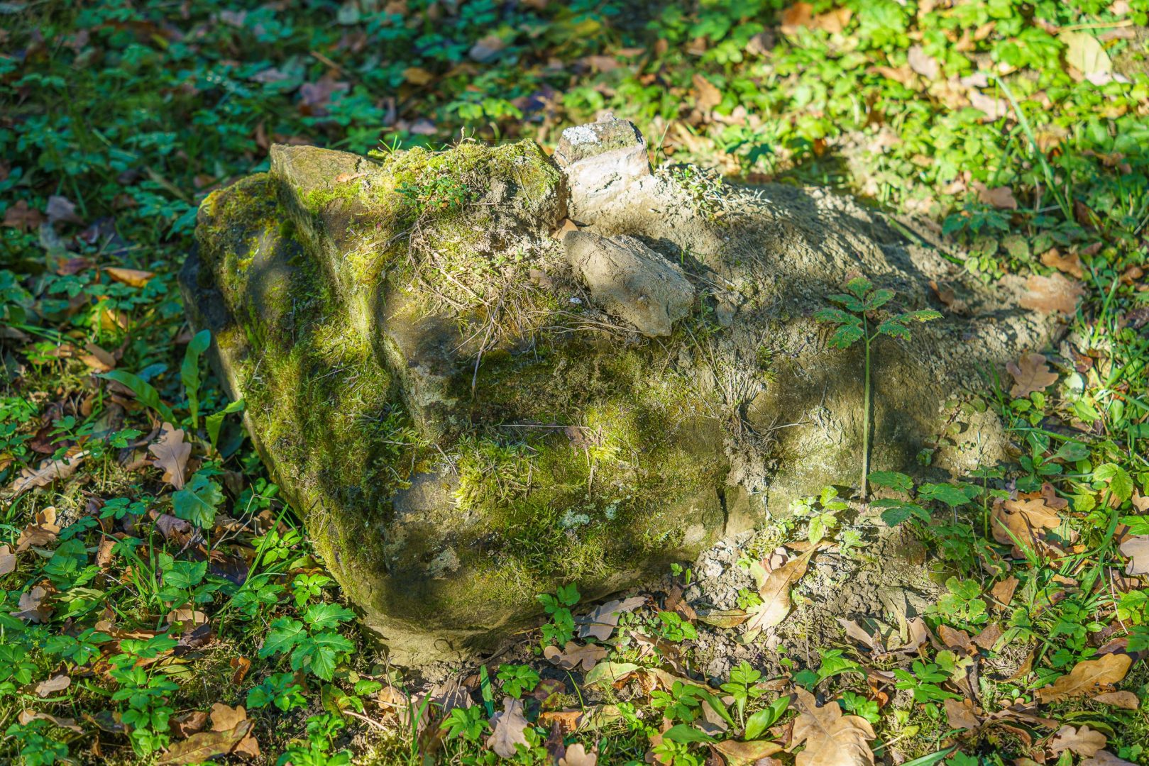 Stary Cmentarz, Nowy Sącz, sprzątanie