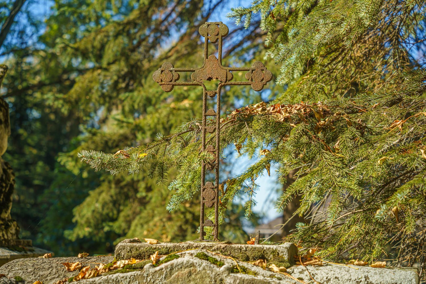 Stary Cmentarz, Nowy Sącz, sprzątanie
