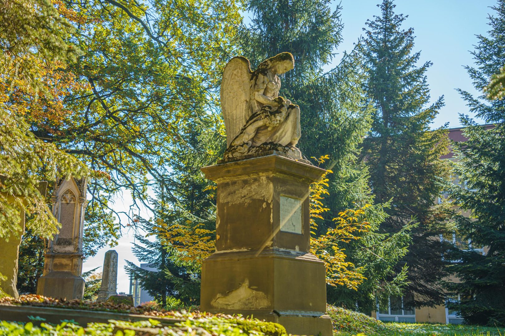 Stary Cmentarz, Nowy Sącz, sprzątanie