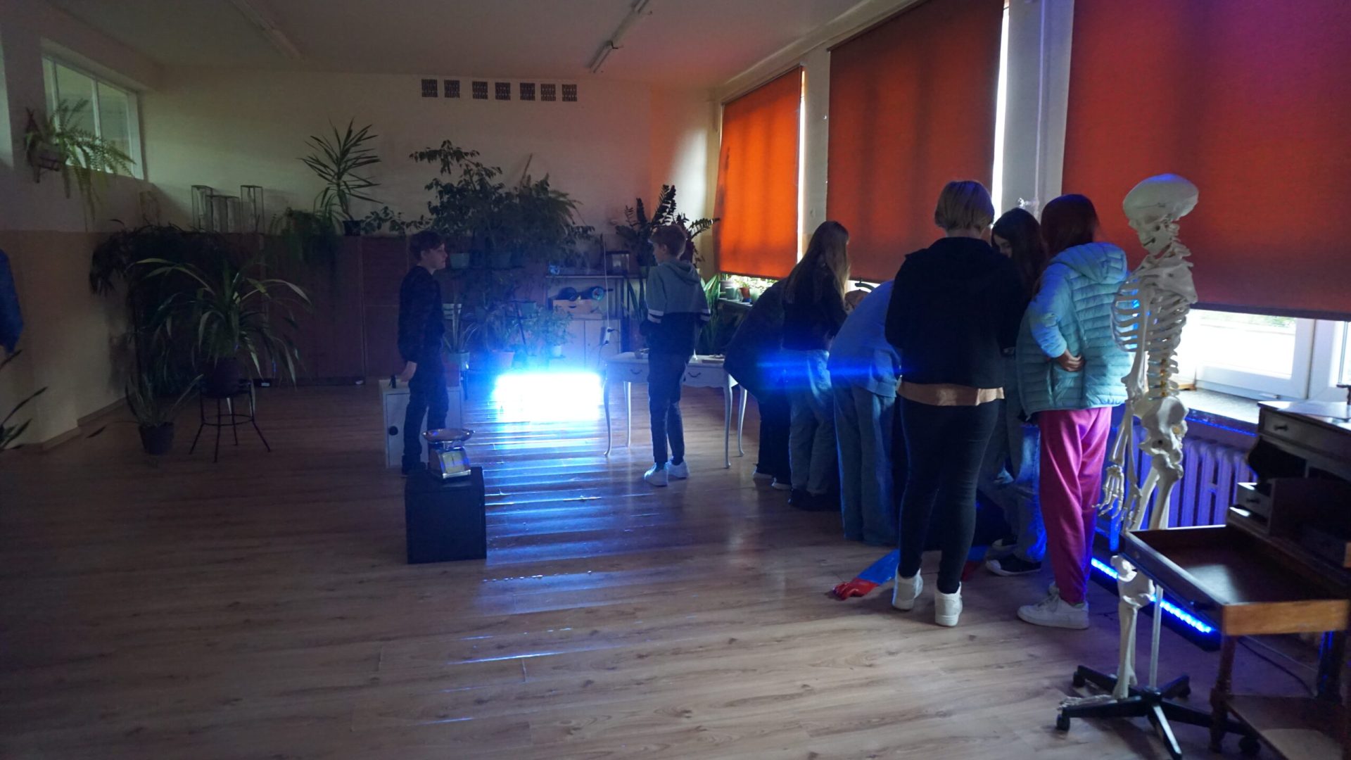 Festiwal Nauki
