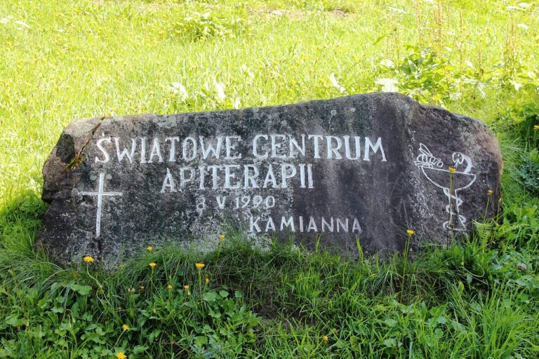 Kamianna uzdrowiskiem? Chcą leczyć miodem i wodą mineralną