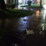 broniewskiego, nowy sącz, policja