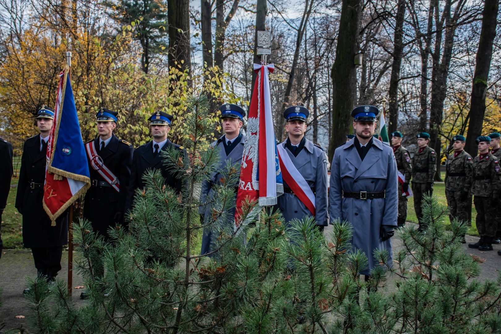 11 listopada, Święto Niepodległości, Sądecczyzna, 104. rocznica odzyskania niepodległości