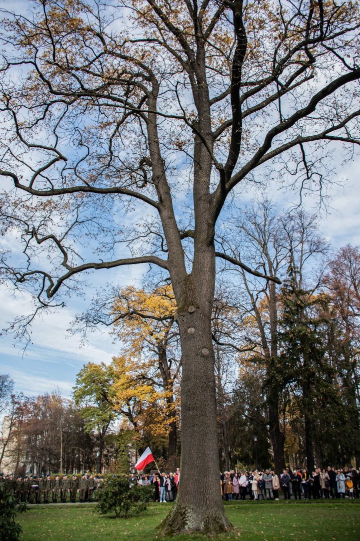 11 listopada, Święto Niepodległości, Sądecczyzna, 104. rocznica odzyskania niepodległości