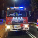osp siołkowa, wypadek, grybów