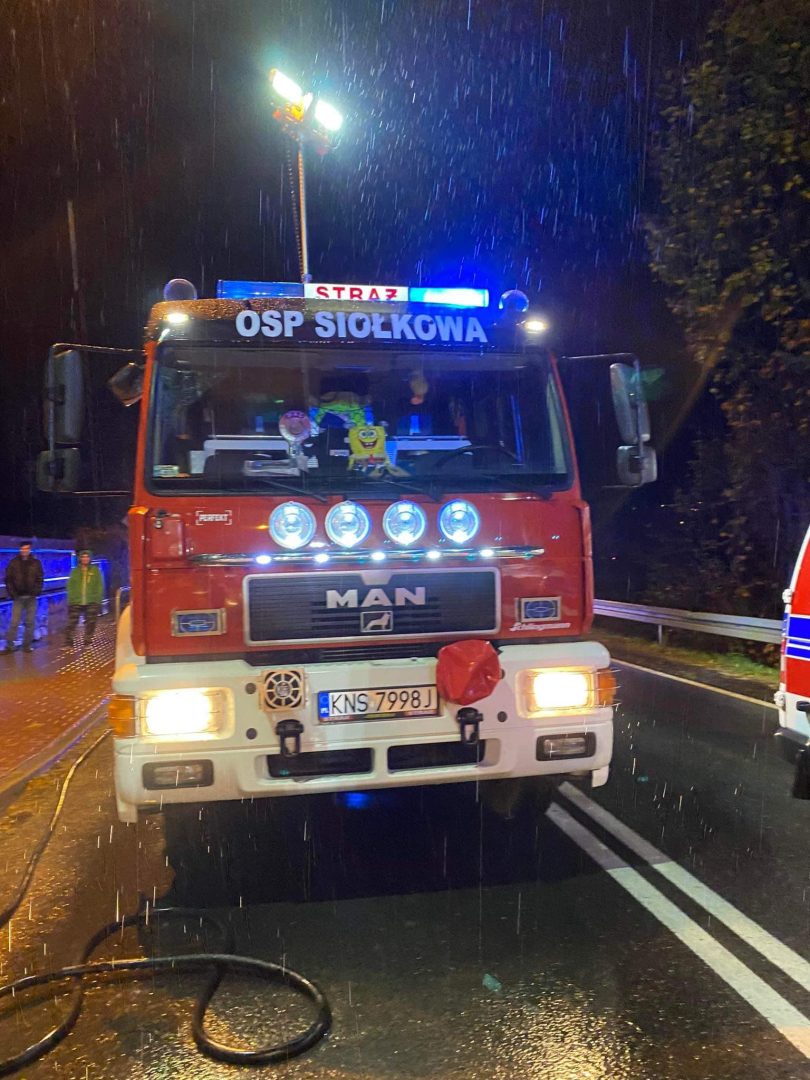osp siołkowa, wypadek, grybów