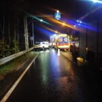 osp siołkowa, wypadek, grybów