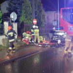 osp siołkowa, wypadek, grybów