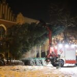 Nadleśnictwo Piwniczna, Radziejowa
