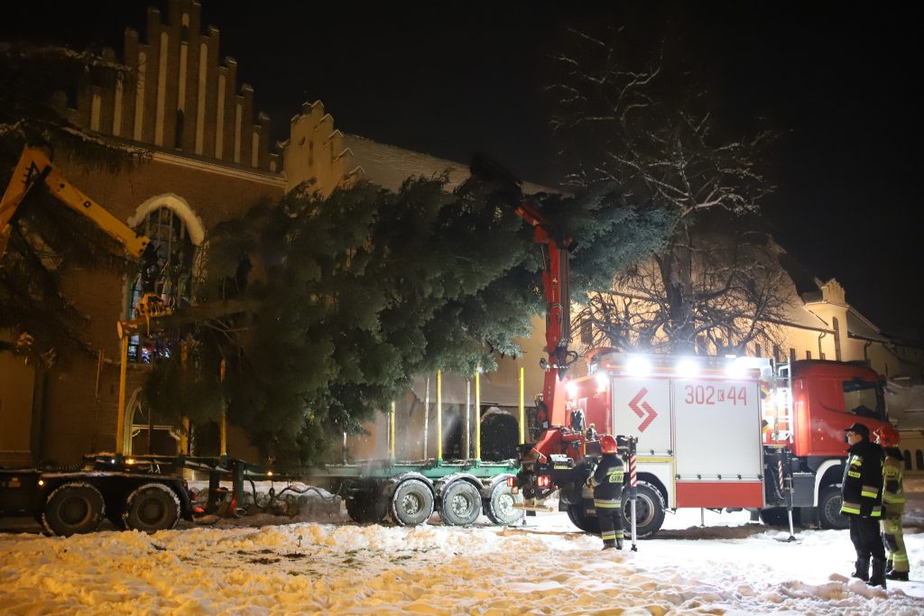 Nadleśnictwo Piwniczna, Radziejowa