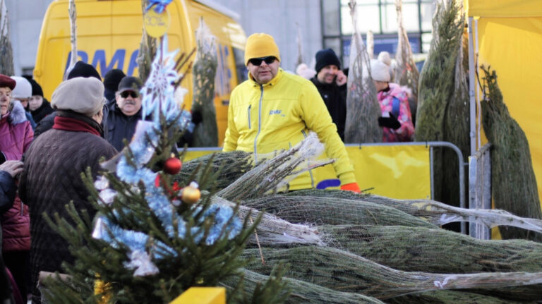 Nowy Sącz. RMF rozda setki choinek. Gościem specjalnym Mateusz Ziółko