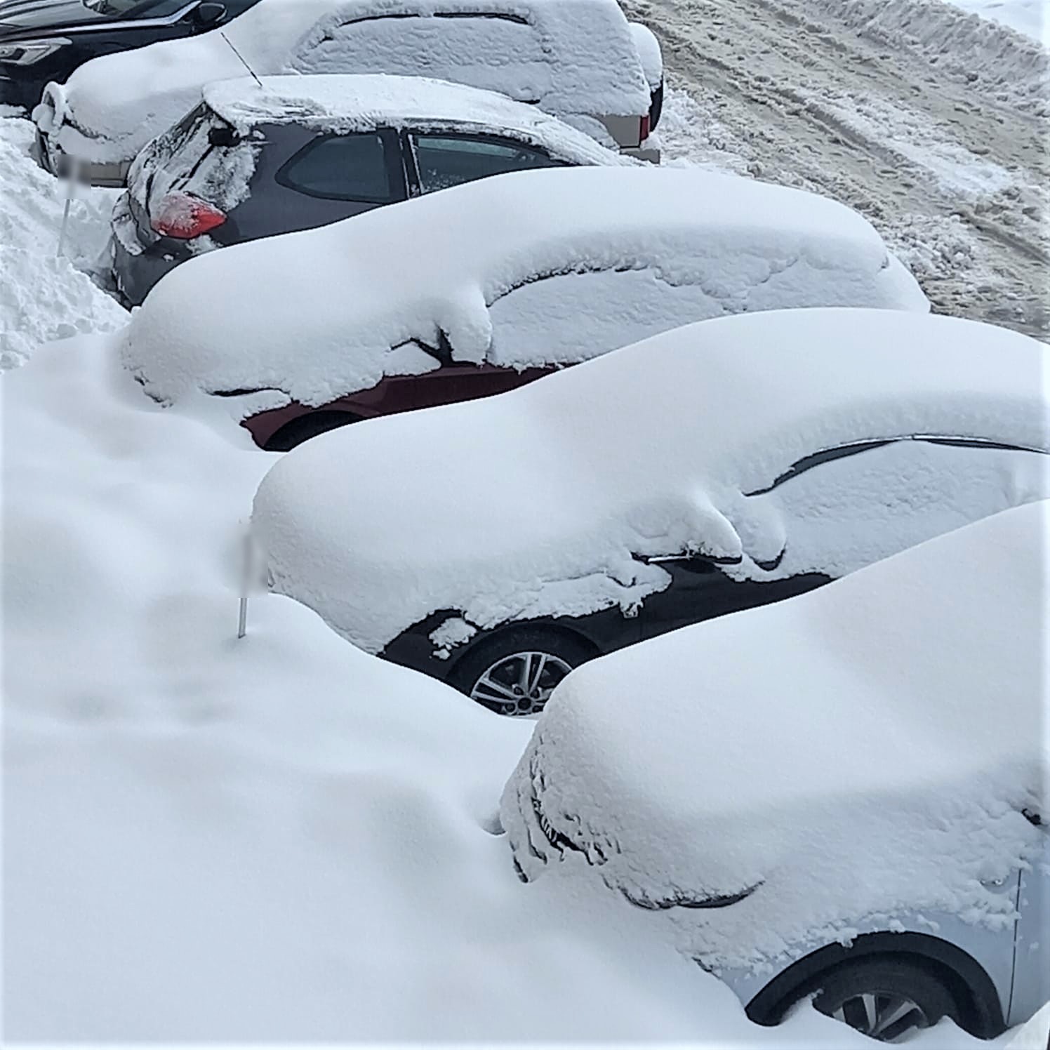 zaśnieżone samochody, mandat