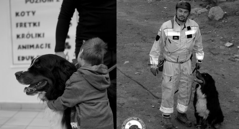 Nie żyje Grot – pies ratownik. „Dziecko ze zdjęcia jest autystyczne. Pierwszy raz dotknęło zwierzęcia”