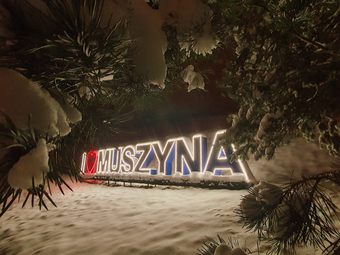 Muszyna, połączenia autobusowe