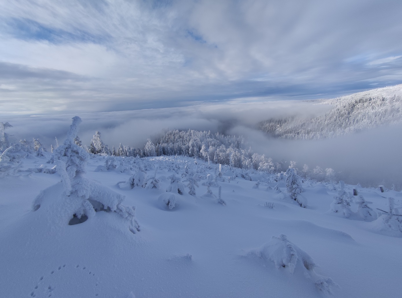 Pasmo Radziejowej, Beskid Sądecki, zgniły wyż, inwersja