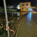 Grybów, uszkodzone pojazdy, wycinka drzew, Bazylika Mniejsza, parking