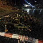 Grybów, uszkodzone pojazdy, wycinka drzew, Bazylika Mniejsza, parking